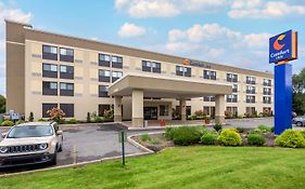 Comfort Inn Binghamton Ny